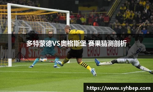 星空综合官方网站